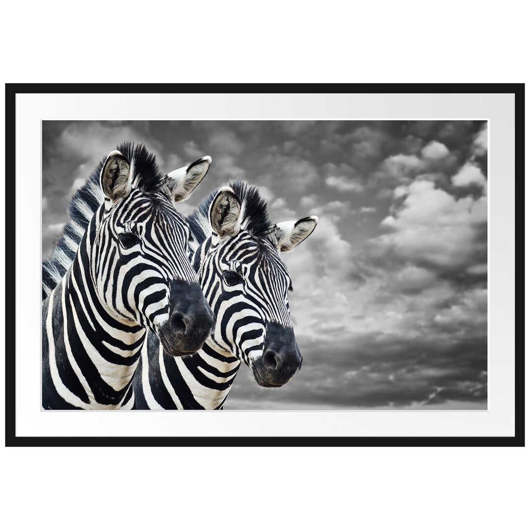 Gerahmtes Poster Zwei Zebras