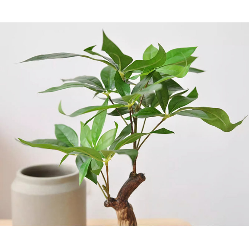 Bonsaï de table réaliste avec arbre vert