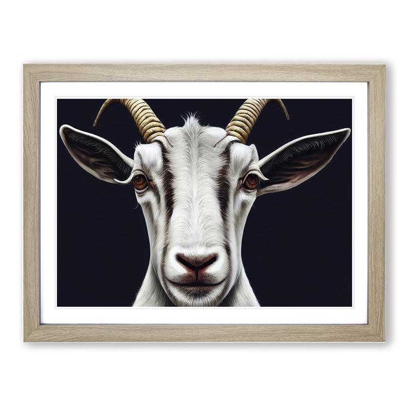 Goat Portrait Vol.2 - Single Picture Frame Print