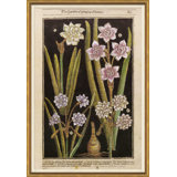 Botanicals Giclee Print by Soicher Marin Archives