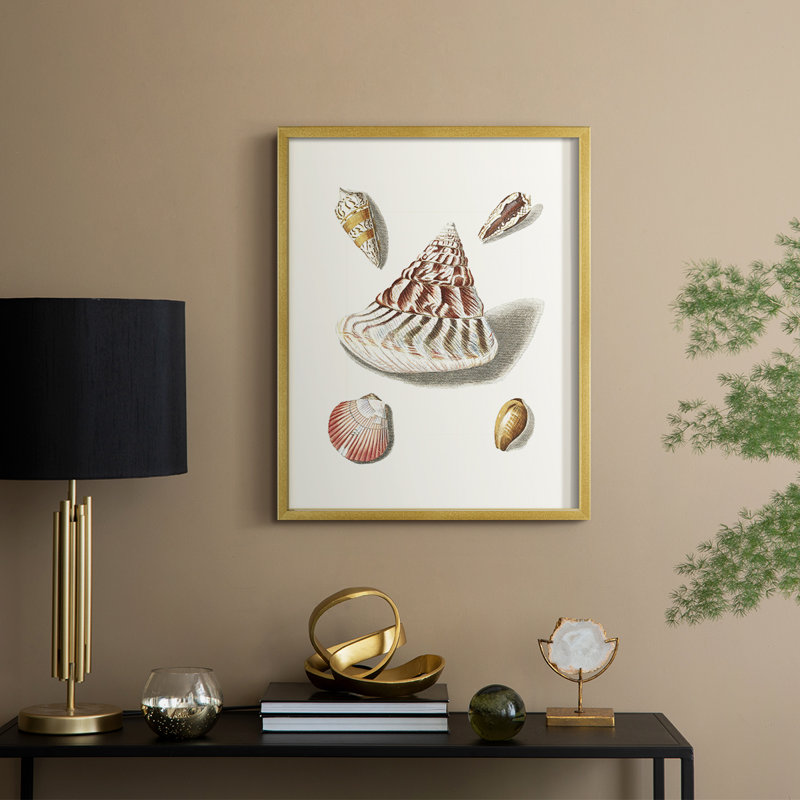 " Pastel Knorr Shells VII ", 15" H x 12" W, Gold