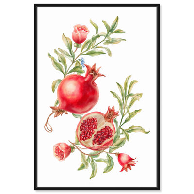 Pomegranate Bloom II Canvas Print Summer Art Prints by Art Remedy