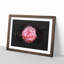 Lone Pink Carnation Paint Splash - Picture Frame Graphic Art-56865394-56865395