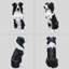 Statue de chien Matthew Border Collie