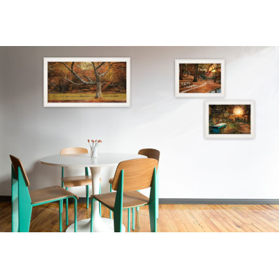 Art mural encadré 3 pièces Tranquil Spaces par Robin-Lee Vieira