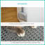 Cat Litter Box with Front Entrance Top Exit High Side Scoop White