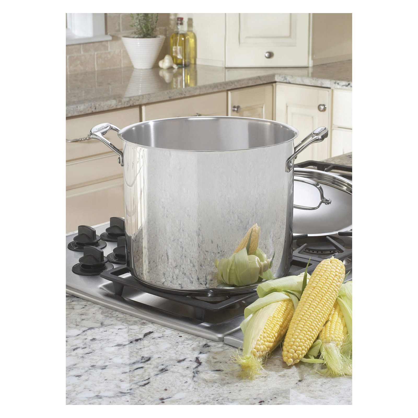 Cuisinart Chef's Classic Stainless Stockpot with Cover, 12 Qt.