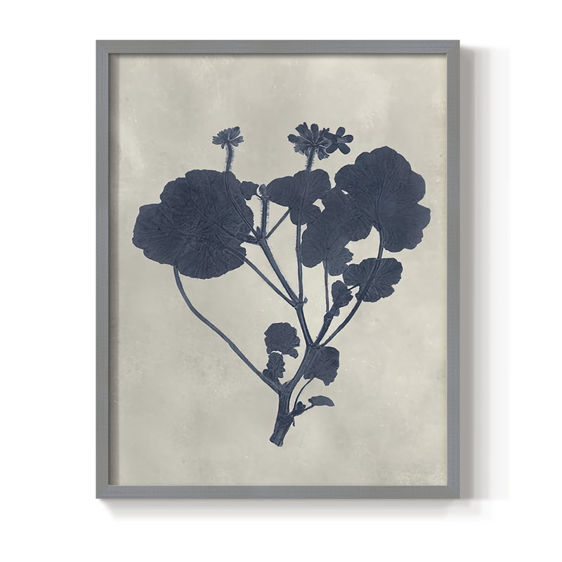Reproduction encadrée de fleurs bleu marine pressées II - bois massif, Gris, H 30 po x l 24 po