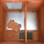 TRIXIE Elevated Single Rabbit Hutch with Large Run, Ramp, Ideal for Rabbits or Guinea Pigs