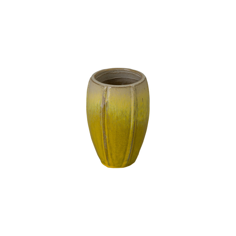 CREST PLANT, NEIGE, Jaune, H 10,5 po x l 7 po x P 7 po