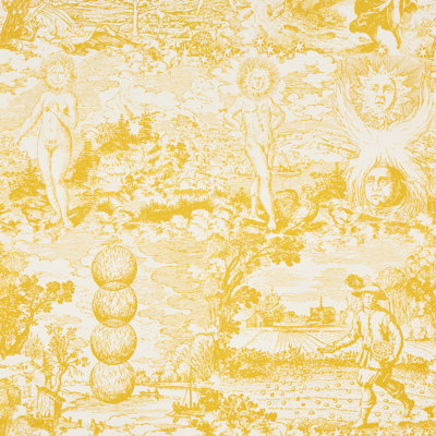 Schumacher x Johnson Hartig Modern Toile Fabric