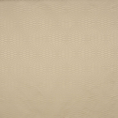 Allure 100% Cotton Fabric