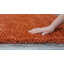 Krisalyn Solid Colour Shag Area Rug-79326787