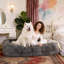Canapé-lit pliant, lit pour chien convertible-1663153784