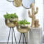 Rustic Lodge 4 - Light Bath Bar