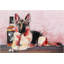 « german jack », impression sur verre