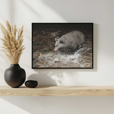 Salmon Splish Slash by Lori Deiter Art Print