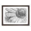 Pretty Flower in Abstract - Framed Print-55768043-55768042