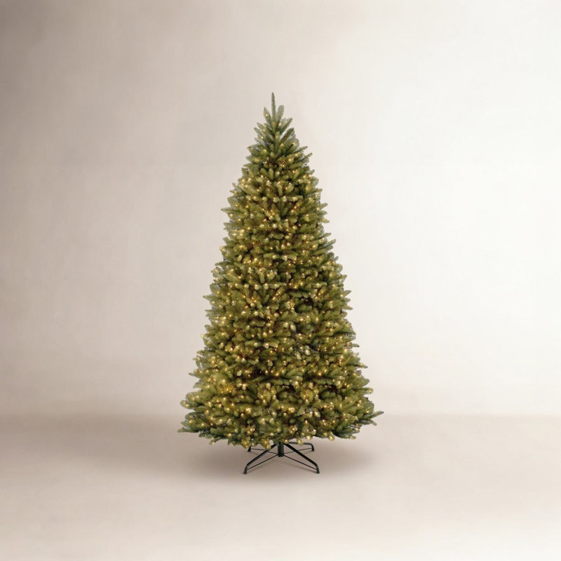 Dunhill Fir Tree with Clear Lights, 14'