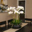 Orchid Floral Arrangement in Planter-249749281-249749295-249749292