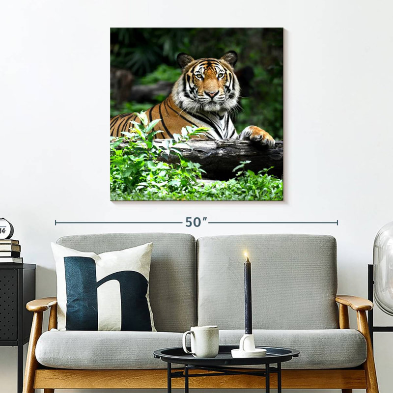 Brampt Resting Bengal Tiger, 30" H x 30" W