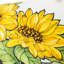 Housse de coussin en tournesol tournesol 14 pi x 20 po