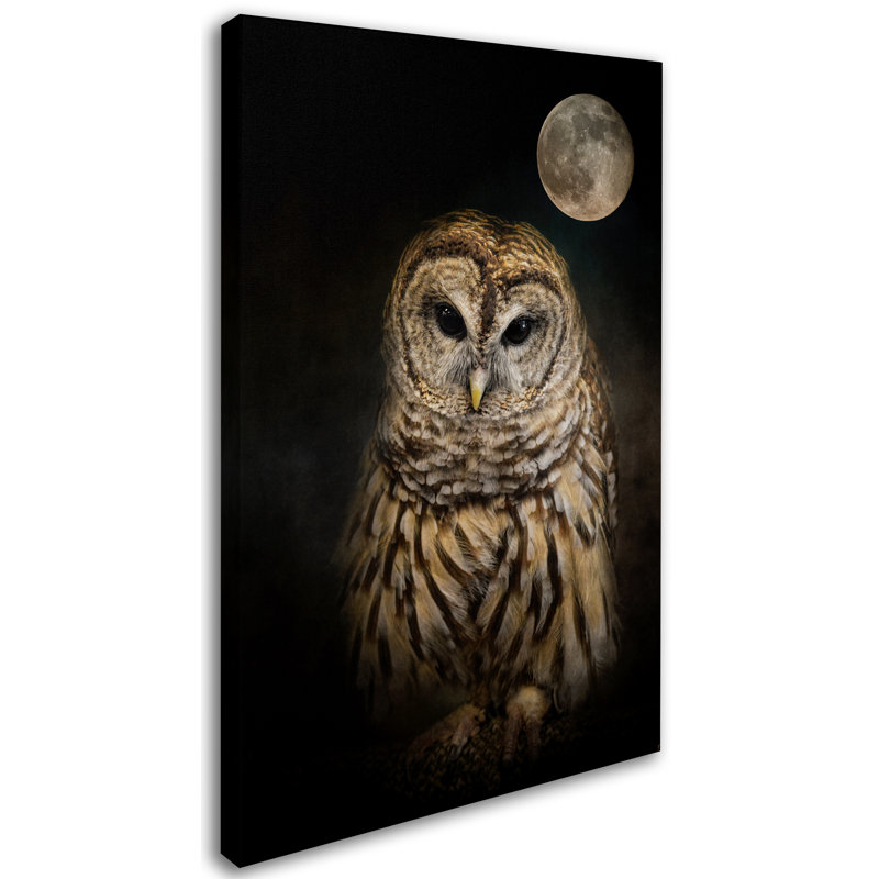 «Barred Owl And the Moon», reproduction d'impression sur toile tendue Vidur, H 47 po x l 30 po