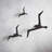 Metallic Flock Wall Decor-1476440298