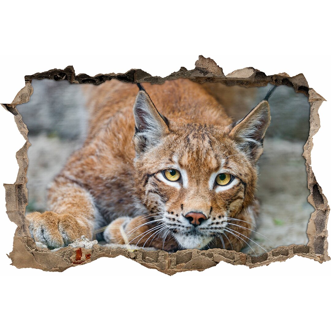 Wachsamer Luchs Wandaufkleber