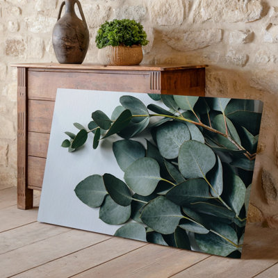 Toile, composition en gros plan de feuilles d'eucalyptus fraîches disposées avec art sur un fond blanc doux