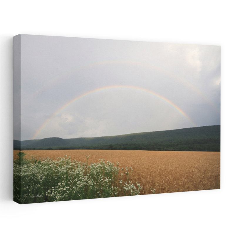 Été arc-en-ciel abstrait paysage contemporain art naturel, H 16 po x l 24 po