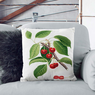 Square Cushion