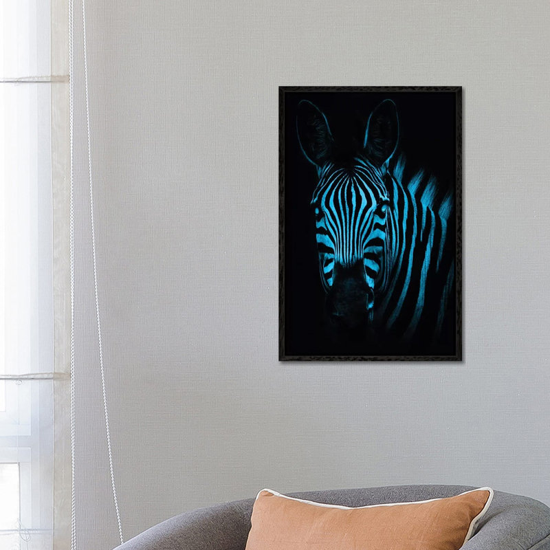 Cool Zebra by Paul Haag - Print on Canvas, Black Framed, 66.04 cm H x 45.72 cm W