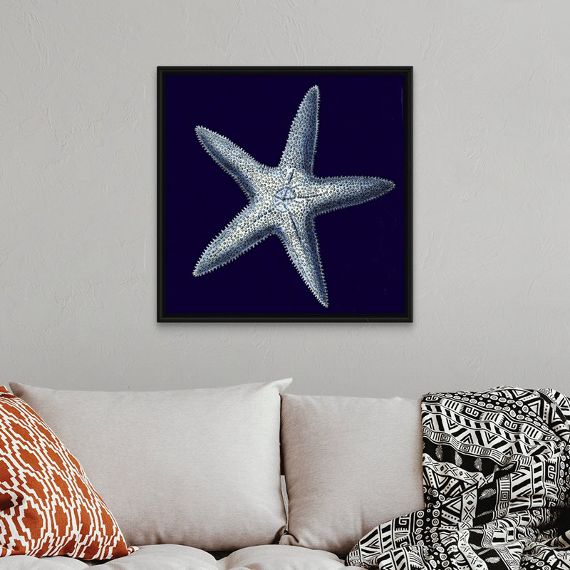 « Indigo shells IV » par vision studio-impression, Cadre noir, H 38 po x l 38 po x 1,75 po