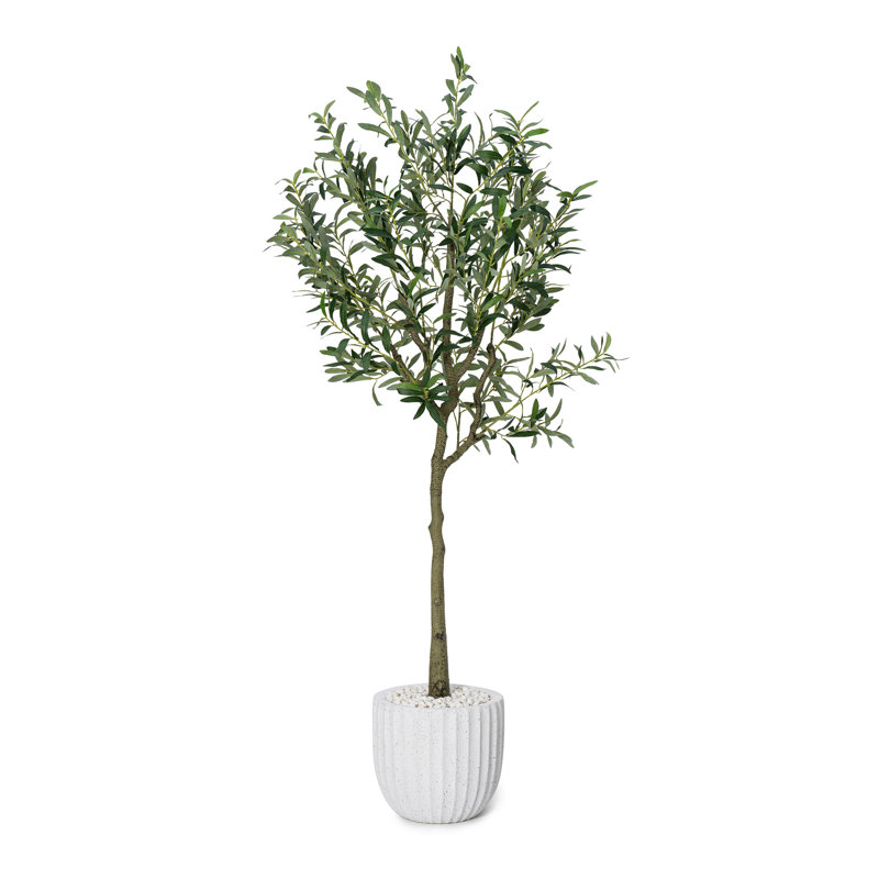 Faux olivier botanique en pot dans une jardinière en fibre de verre blanche d'une hauteur de 72 pouces