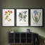 Nature imprimé Botanicals vii - impression sur mesure encadrée de qualité supérieure - 3 pièces-728451894-728451892