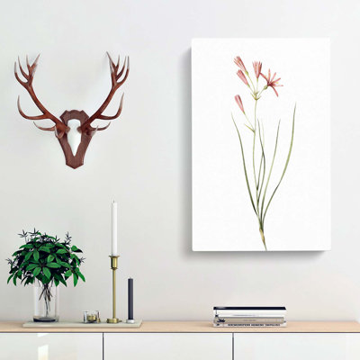 Amaryllis Flowers - Wrapped Canvas Painting
