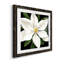 " Midnight Magnolia I "-62727054-62727055