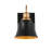 Modern Black 1-Light Metal Wall Sconce