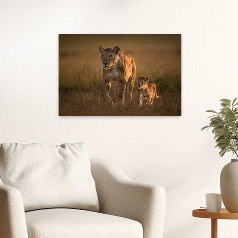 Golden Savanna Lion Family Contemporary Cat Lion Nature Sunset Wall Art Print, 40.64cm H x 60.96cm W