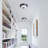 Darryus 2-Light Simple Round Ceiling Lamp