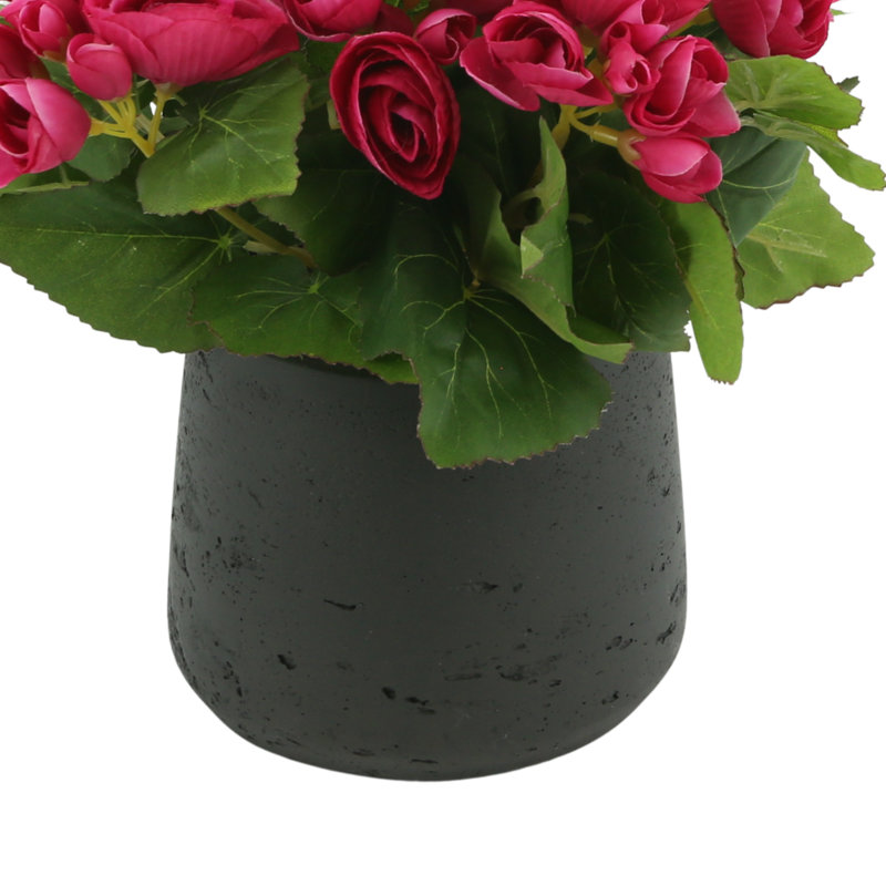 Arrangement floral bégonia, Rose, Noir