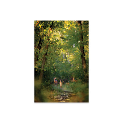 " Deer Family In Forest Early Morning Painting " by Nik Rave