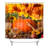 Shower Curtain with Hooks Included