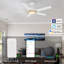 Ventilateur de plafond intelligent 52 "avec lumière
