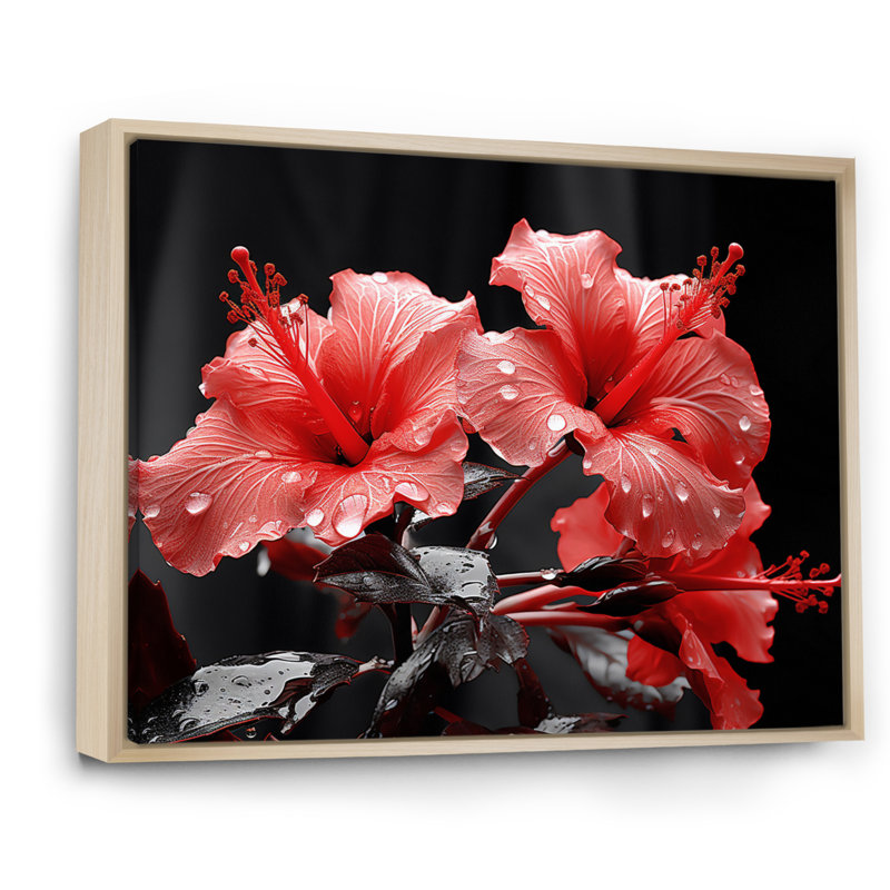 Hibiscus Attallah vibrant corail - imprimé, H 16 po x l 32 po x P 1 po, Cadre naturel flottant