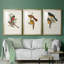 " Elegant Trogons I " 3 - Pieces-69983317-69983318