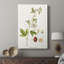 Passion Flower Trio II -Galery Enveloppé Cavas-1307039919