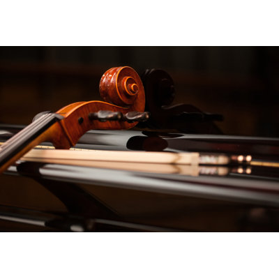 Classical Music by Minerva Studio - Wrapped Canvas Print
