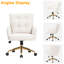 Zareon Office Chair-1065757032